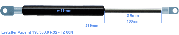 Vapsint 198.300.6 RS2 - TZ